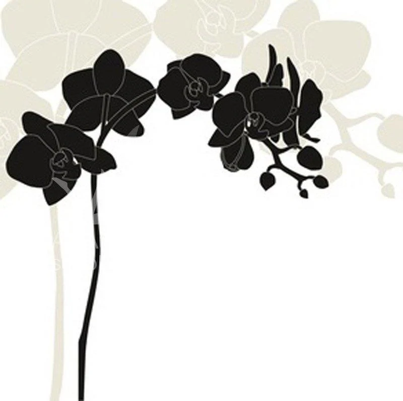 BLACK ORCHID Fragrance Essential Oil For Diffusers &amp; Candles -5mL