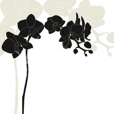 BLACK ORCHID Fragrance Essential Oil For Diffusers &amp; Candles -5mL