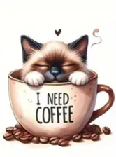 I NEED COFFEE - INC-4