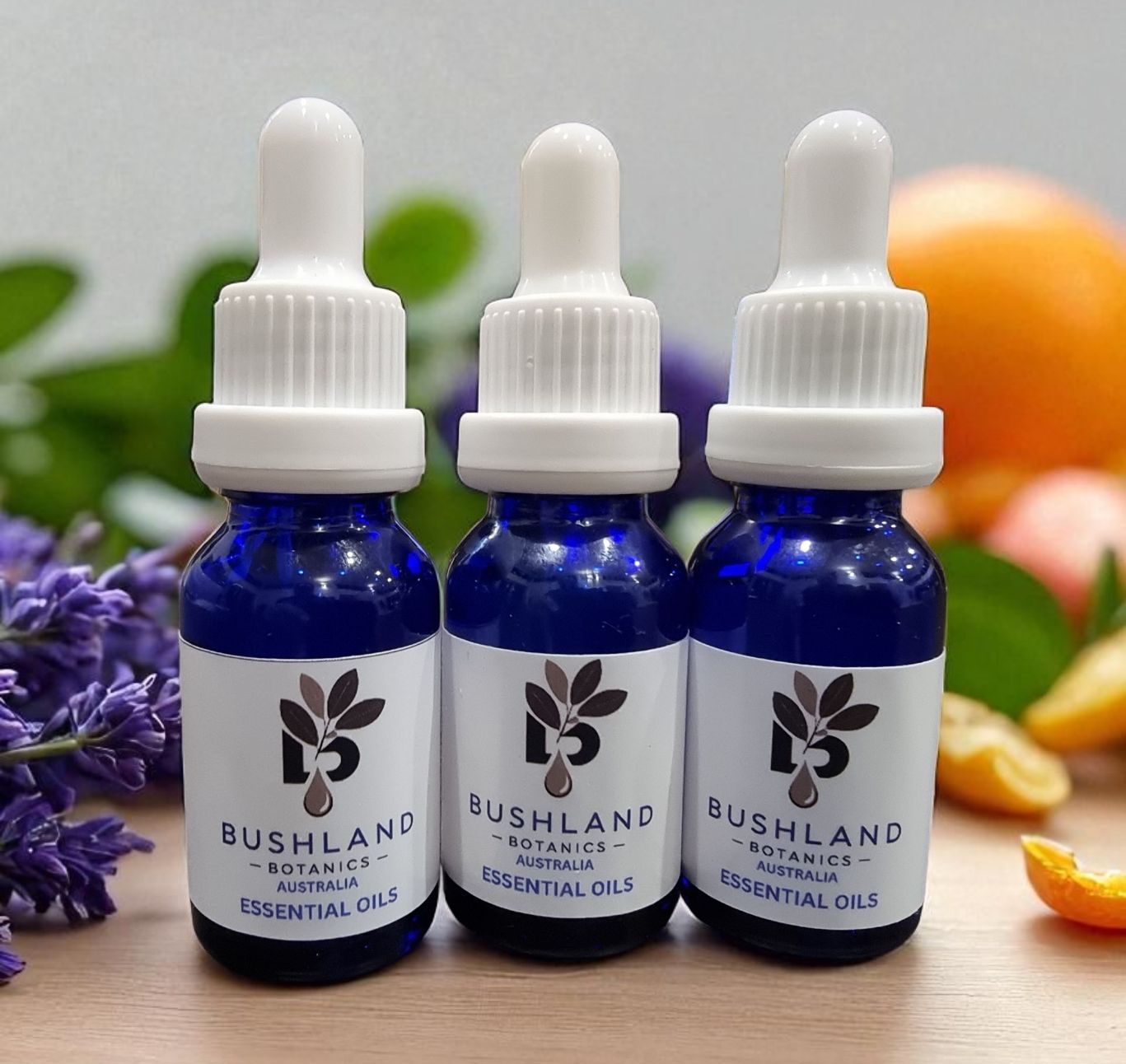 ROSEMAREY 15ML - WHOLESALE SAMPLER