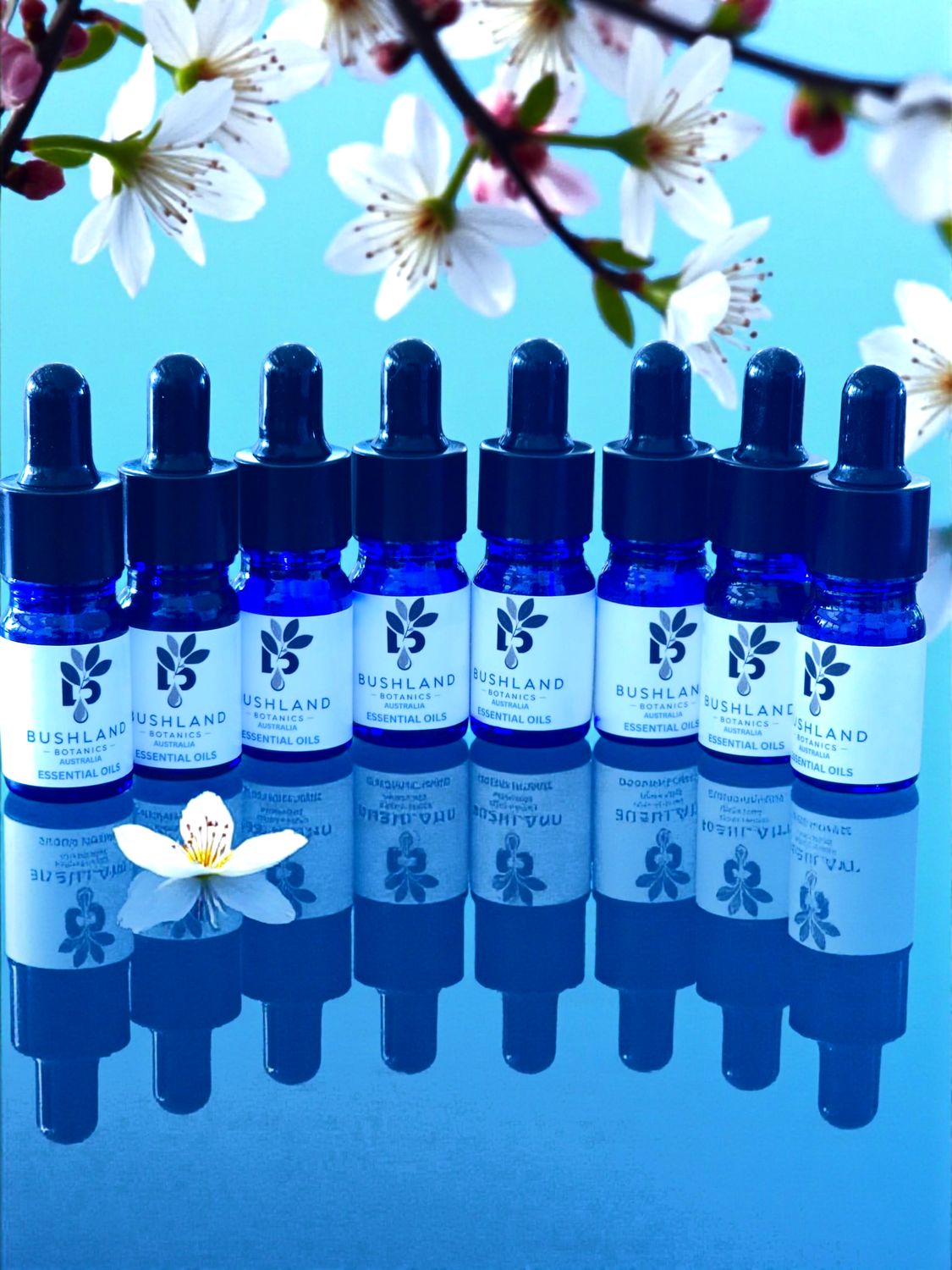 ESSENTIAL OILS - (WHOLESALE SAMPLER ) - 5mL SELECTION + DROPPER (SAMPLE SIZE)