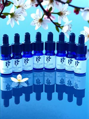 ESSENTIAL OILS - (WHOLESALE SAMPLER ) - 5mL SELECTION + DROPPER (SAMPLE SIZE)