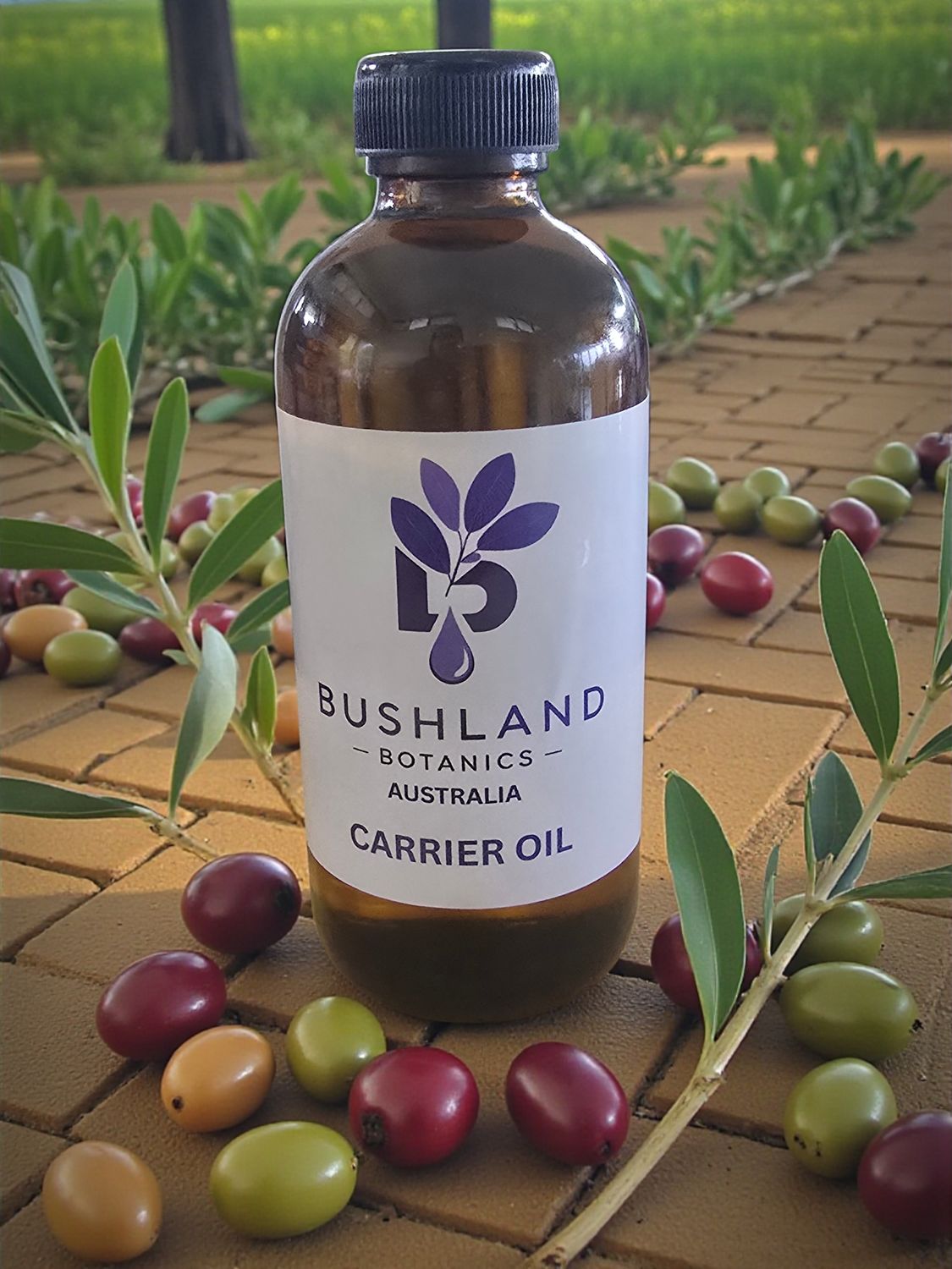 OLIVE OIL - Extra Virgin  (Australian ) 240mL - Cold Pressed  Organic (WHOLESALE SAMPLER)