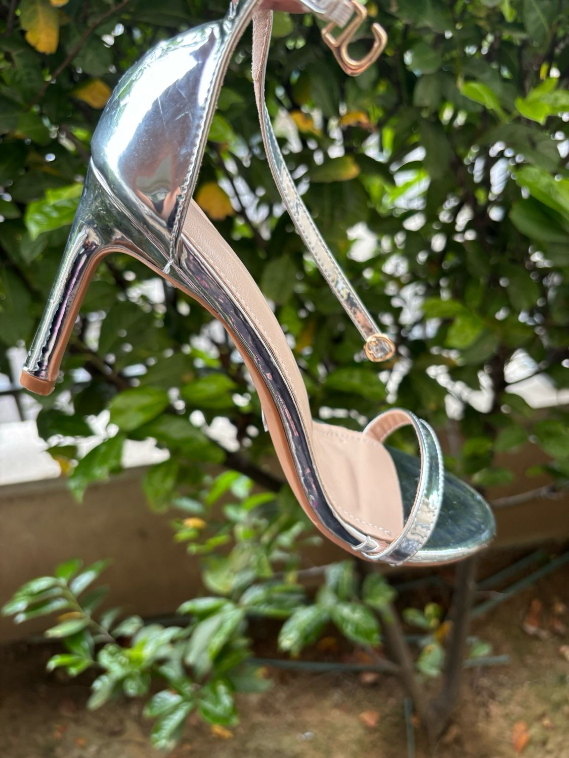 Talon argenté