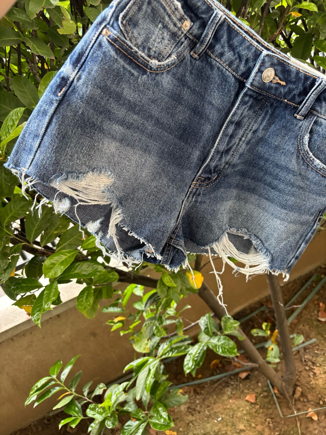Short jeans