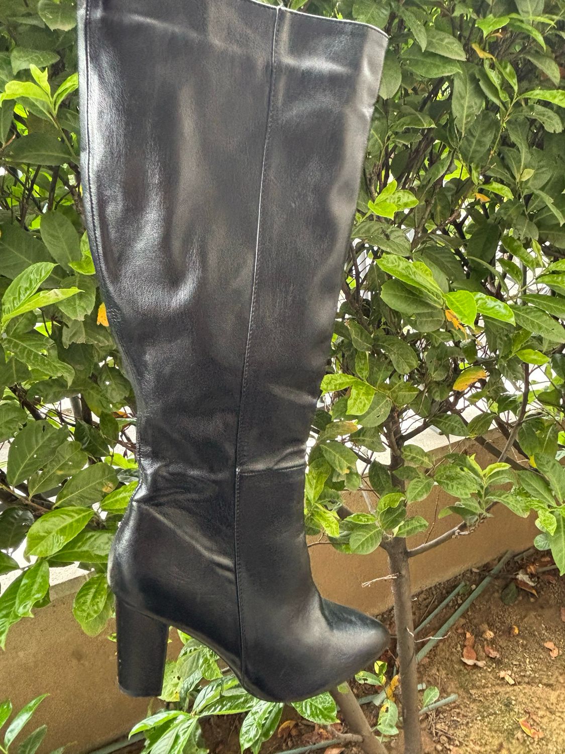 Bottines Nawel