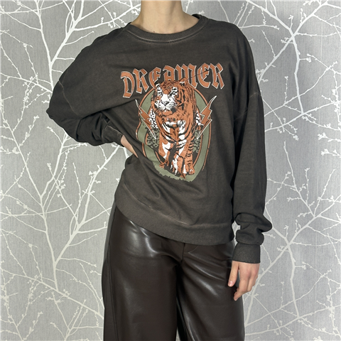 Felpa Garzata Stampa Dreamer Art. Ffwp045, Taglia: U, Colore: GRIGIO