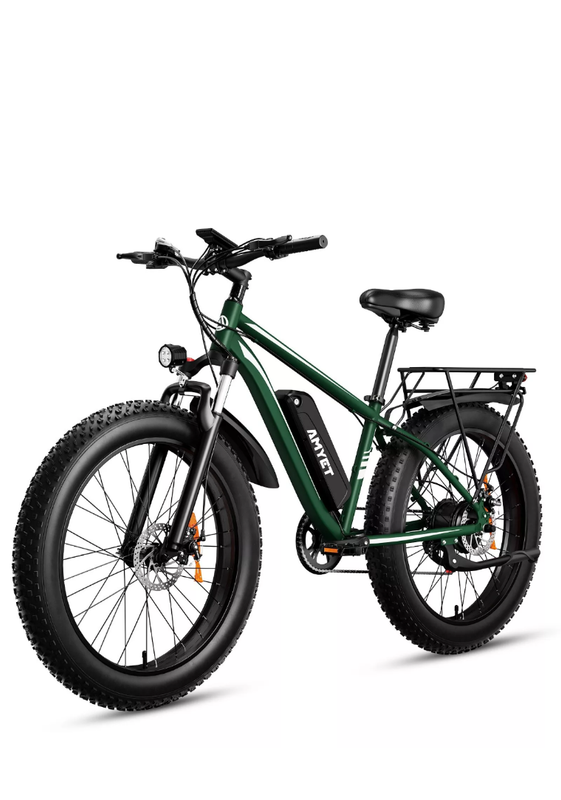 Electric Bike 1000W Electric Bicycle 48V 15AH 26" Fat Tire Mountain e bike Adult