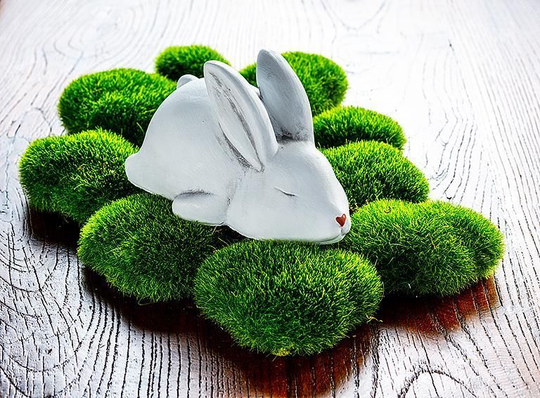 (A/F) Sleeping White Bunny-6"L