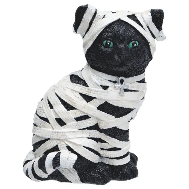 (RH) Mummy Cat