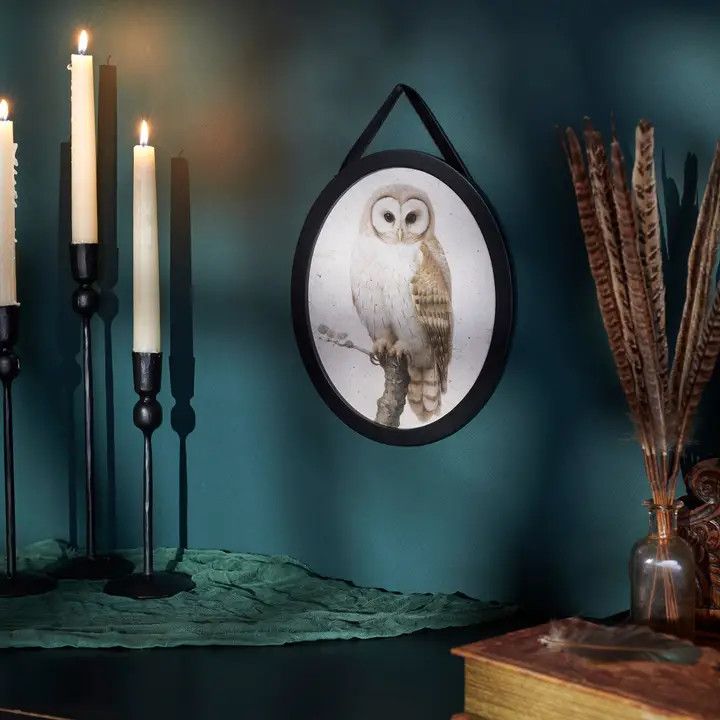 (RH) Owl Hanging Decor