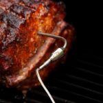 FireBoard Food Probe