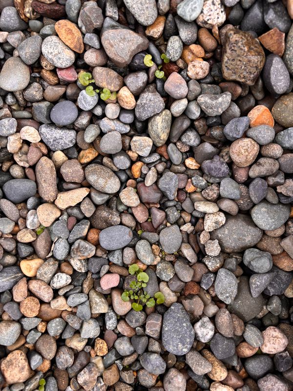 Bag - 7/8&quot; Washed Drain Rock