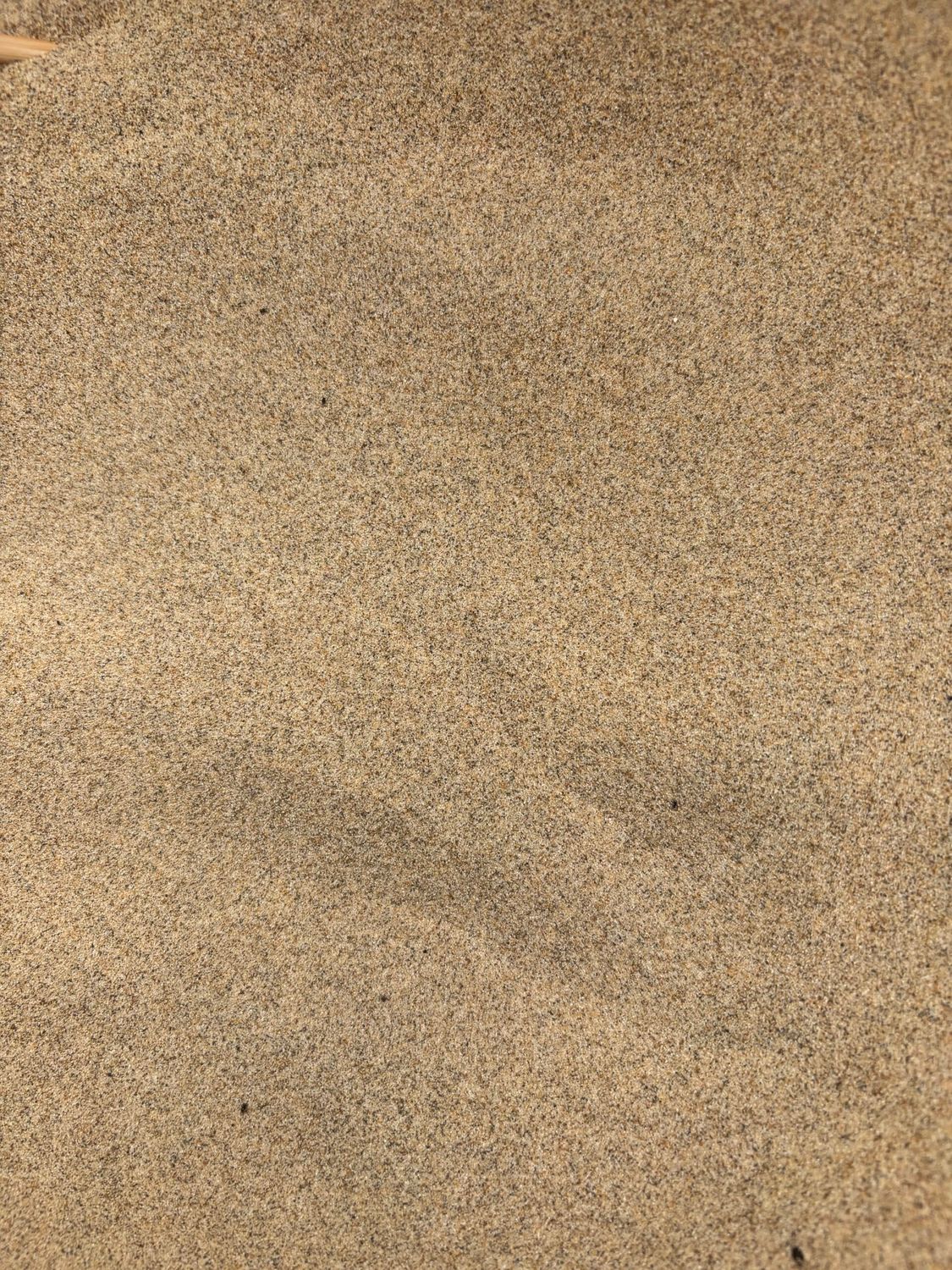 Oregon Beach Sand, 50lb Bag