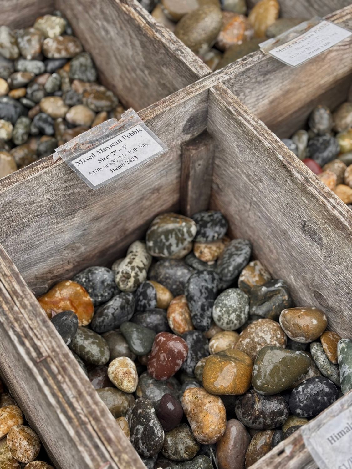 Mixed Mexican 2"-3" Pebble Bag, 50 lb