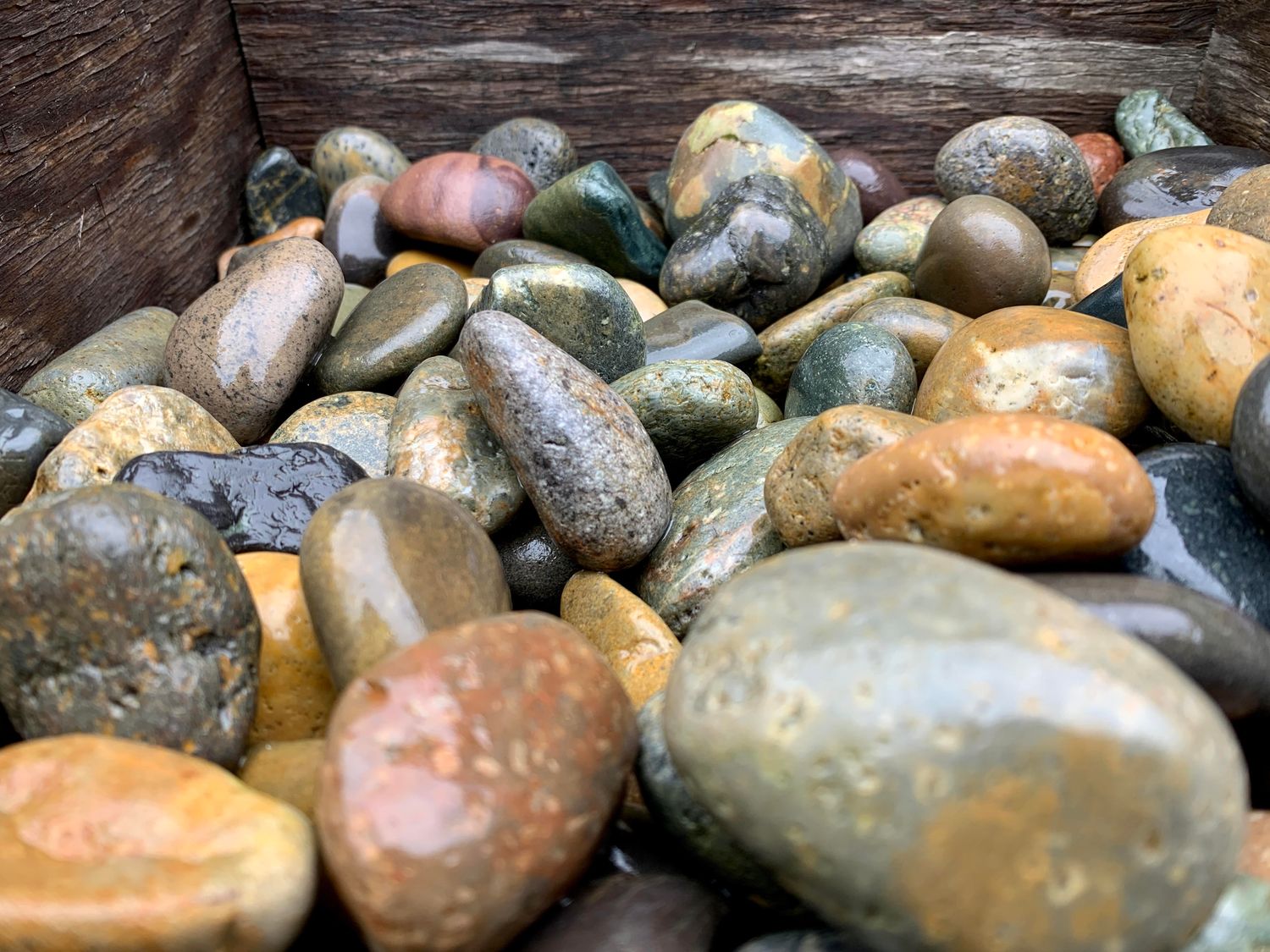 Mixed Mexican 3"-5" Pebble Bag, 50 lb