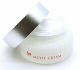 Spa treatment abso MOIST CREAM 30g