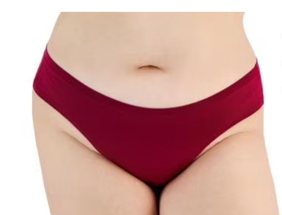 Alfani Plus Size Bikini Underwear Ultra Soft Beet Red 2X