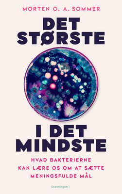 Det største i det mindste