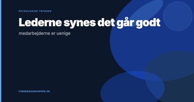 Lederne synes det går godt — medarbejderne er uenige