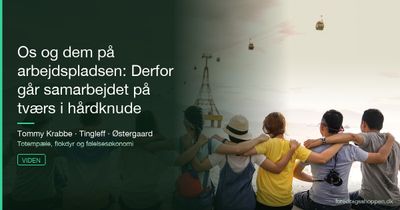 Os og dem på arbejdspladsen: Derfor går samarbejdet på tværs i hårdknude