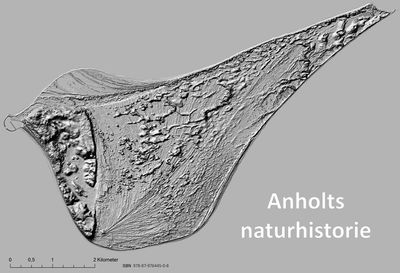 Anholts naturhistorie