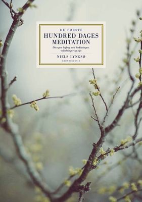 De første hundred dages meditation