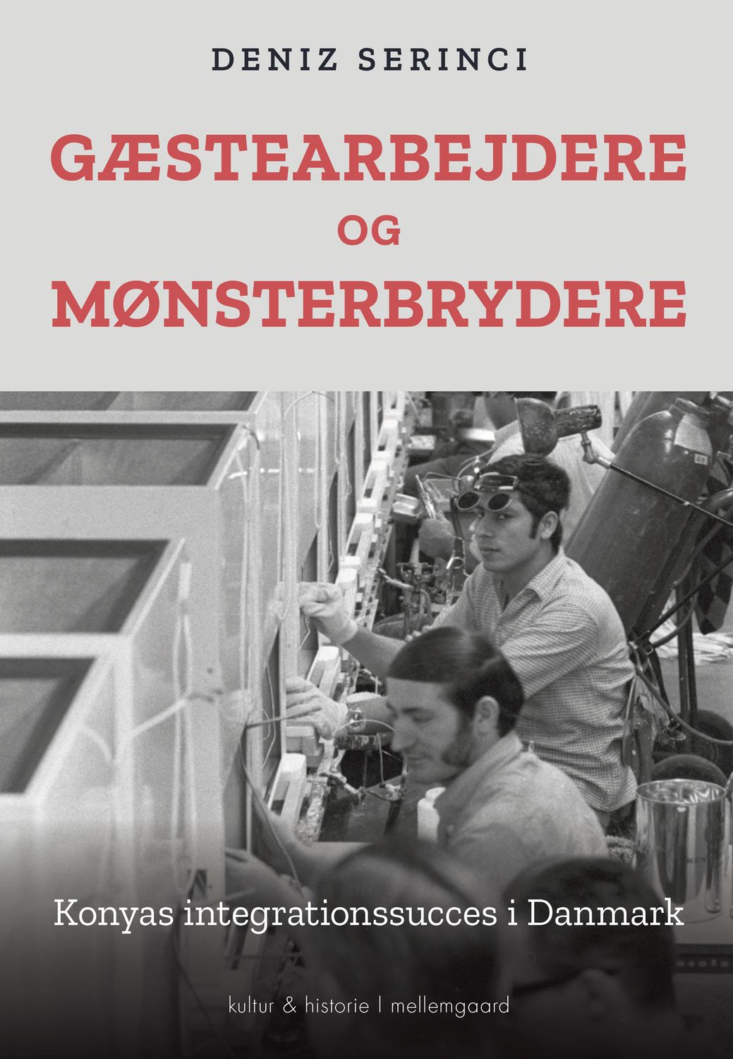 Gæstearbejdere og mønsterbrydere