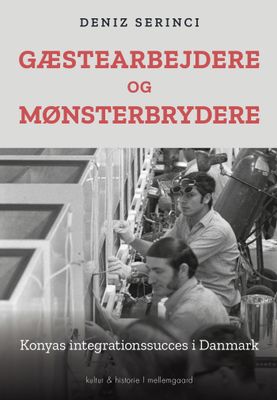 Gæstearbejdere og mønsterbrydere