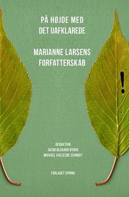 På højde med det uafklarede
