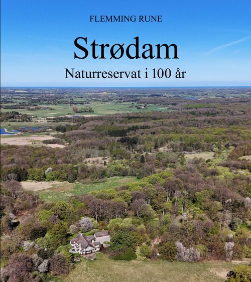 Strødam