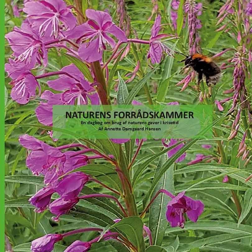 Naturens Forrådskammer