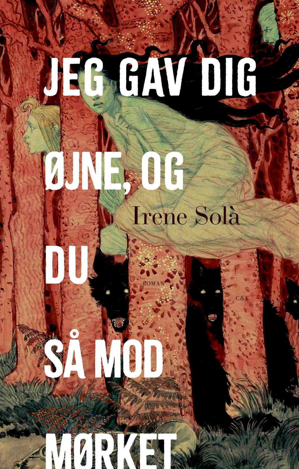 Jeg gav dig øjne, og du så mod mørket