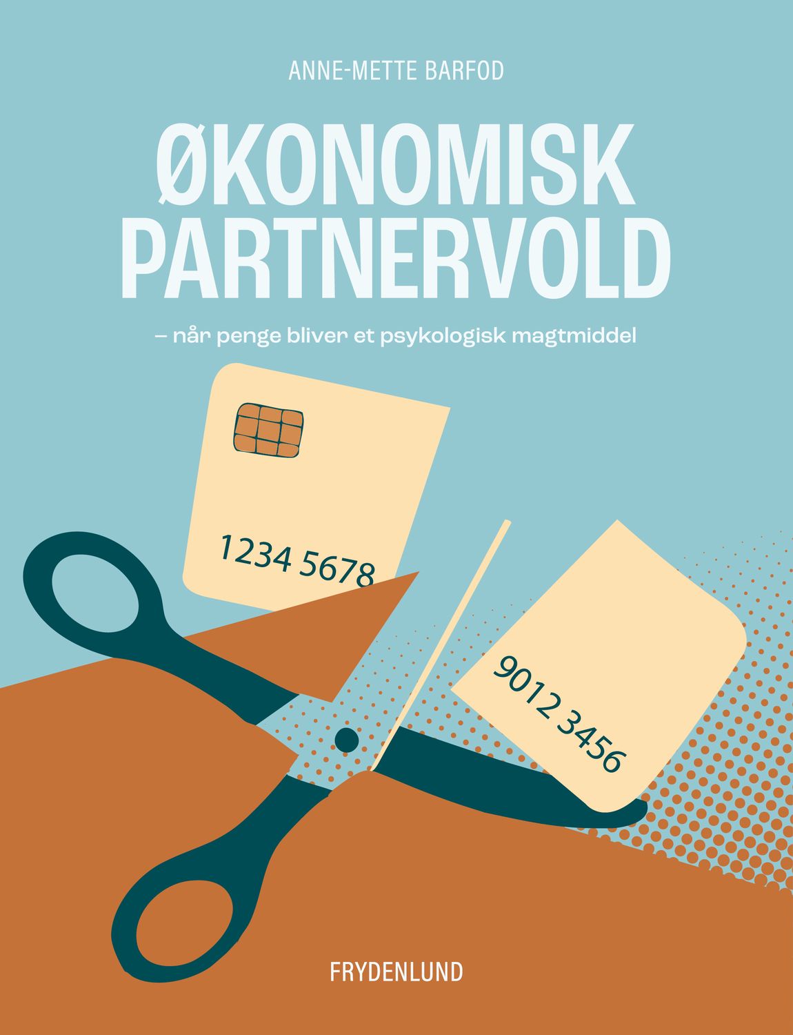 Økonomisk partnervold