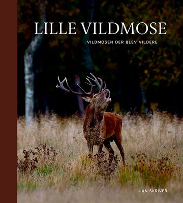 Lille Vildmose