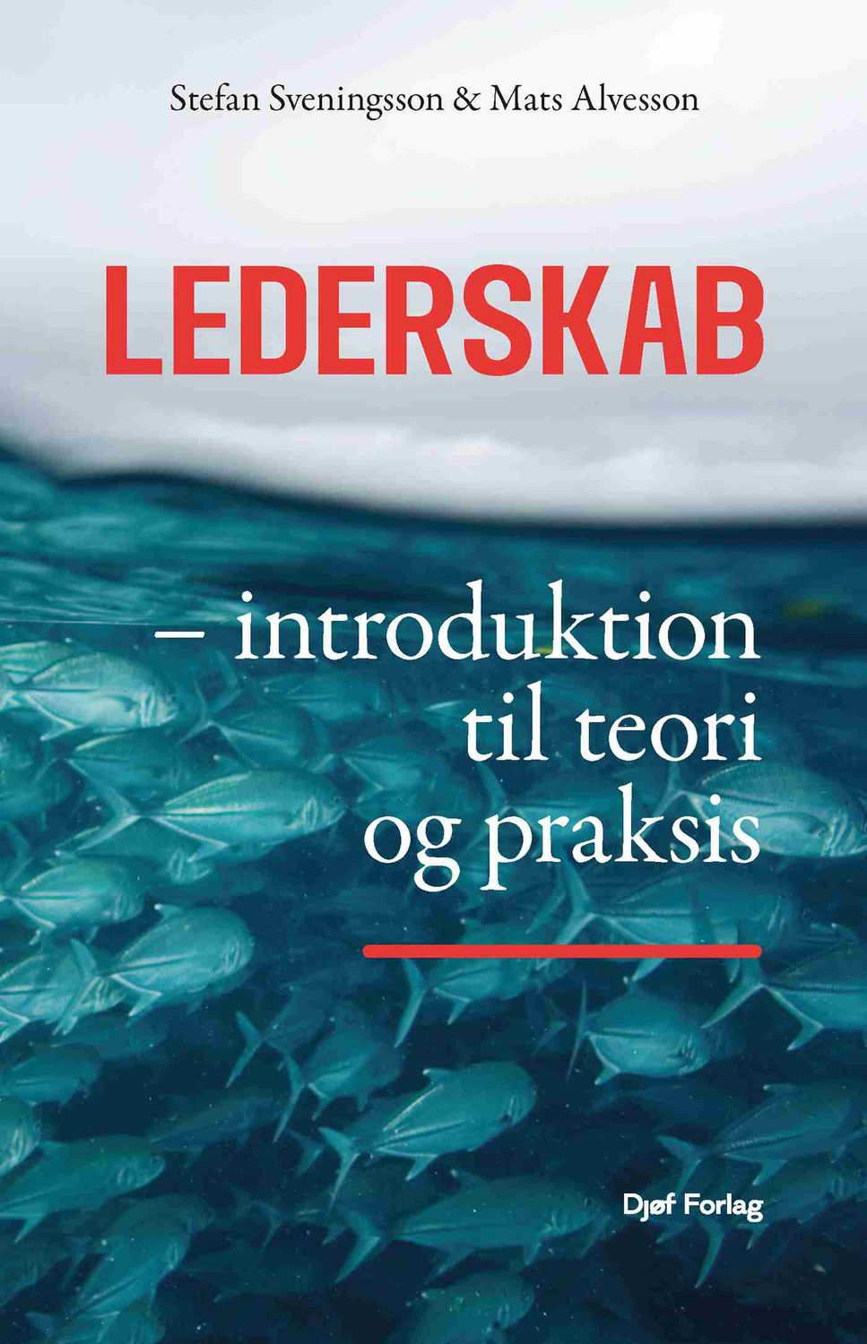 Lederskab
