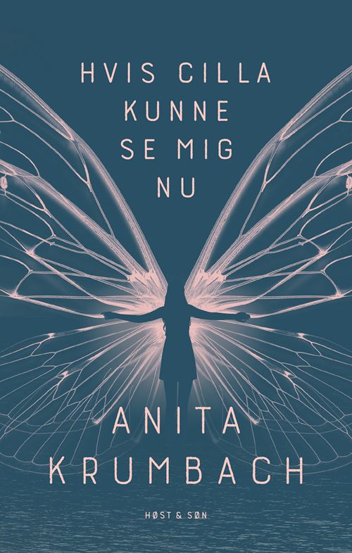 Hvis Cilla kunne se mig nu