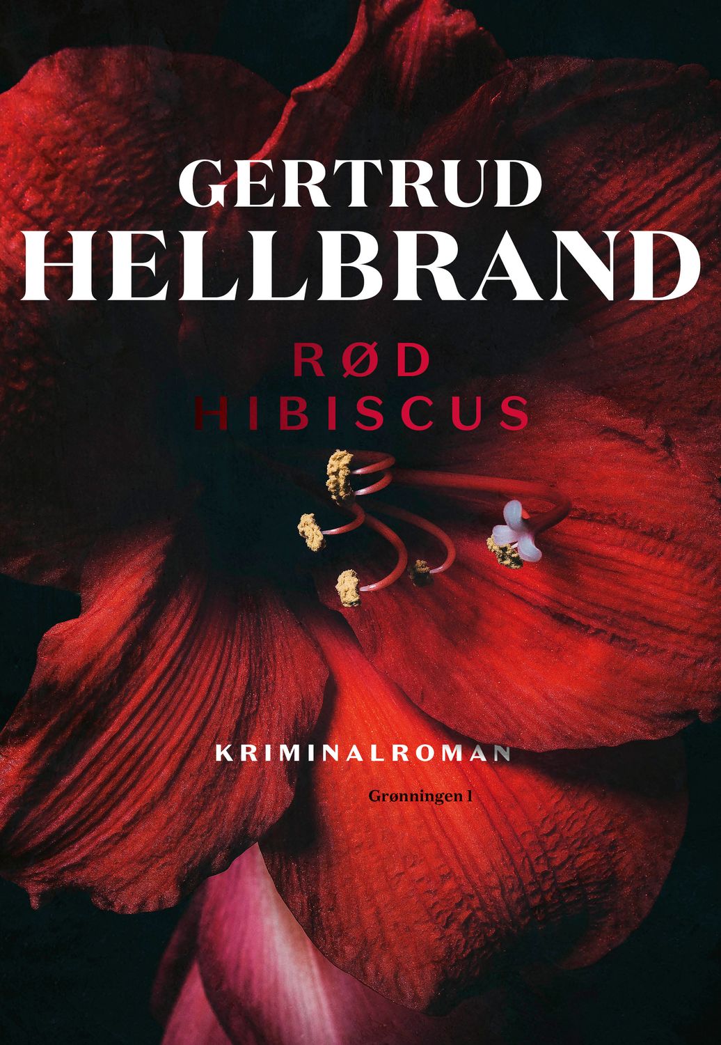 Rød hibiscus