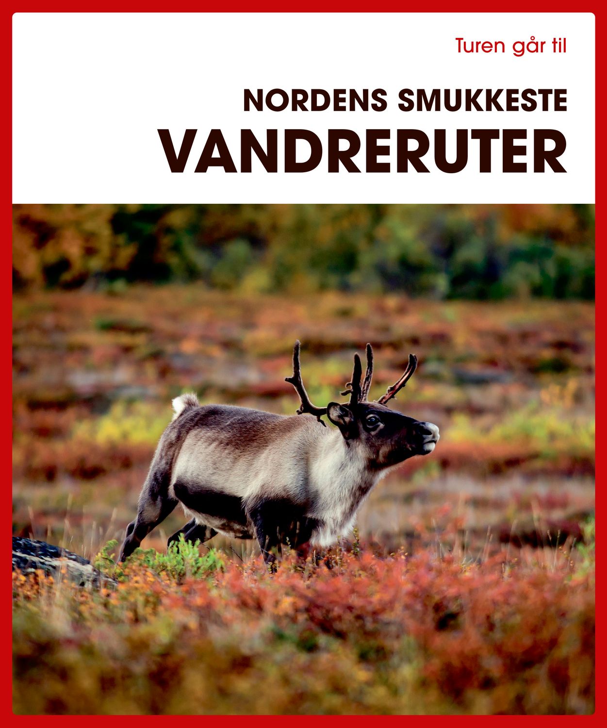 Turen går til Nordens smukkeste vandreruter