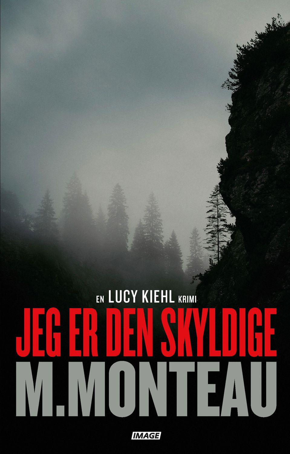 Jeg er den skyldige