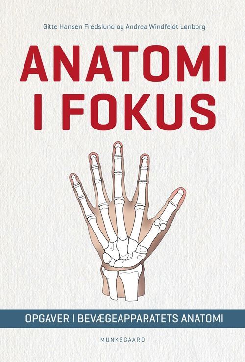 Anatomi i fokus