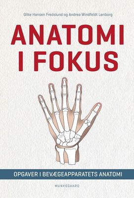Anatomi i fokus
