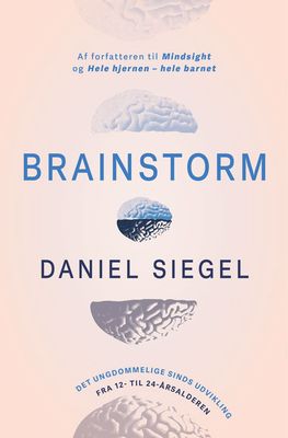 Brainstorm