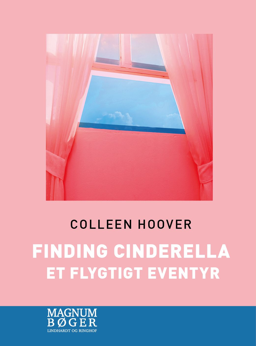 Finding Cinderella (Storskrift)