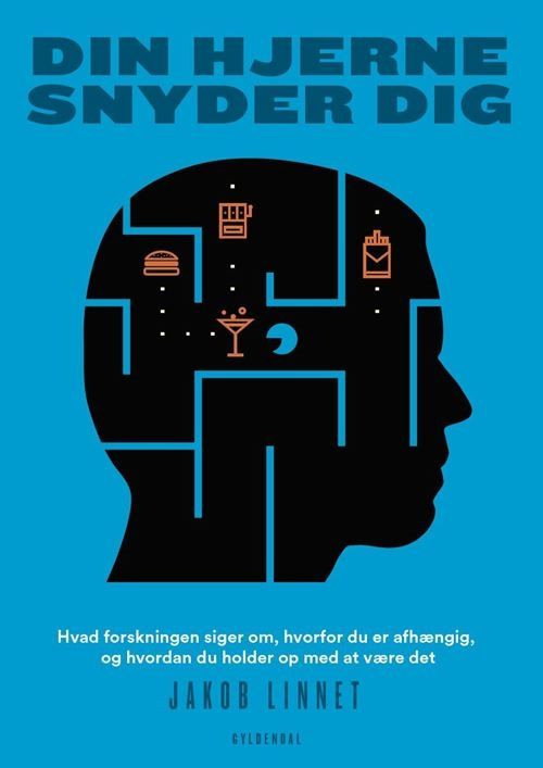 Din hjerne snyder dig Din hjerne snyder dig