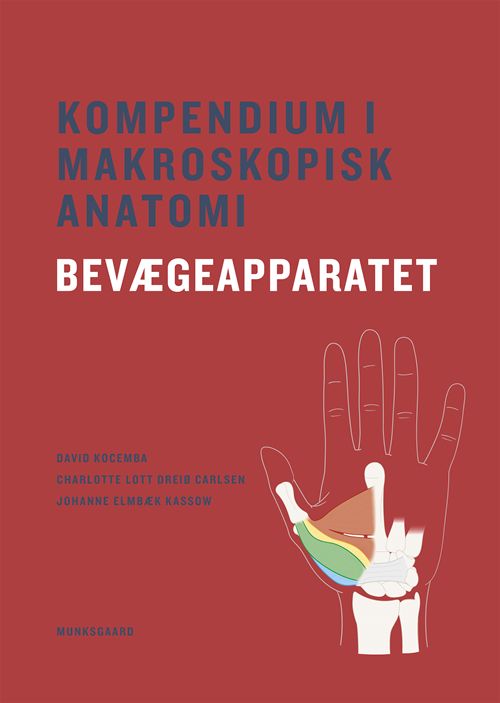 Kompendium i makroskopisk anatomi - bevægeapparatet