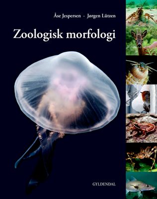 Zoologisk morfologi