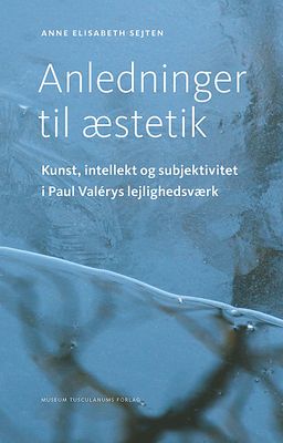 Anledninger til æstetik Anledninger til æstetik