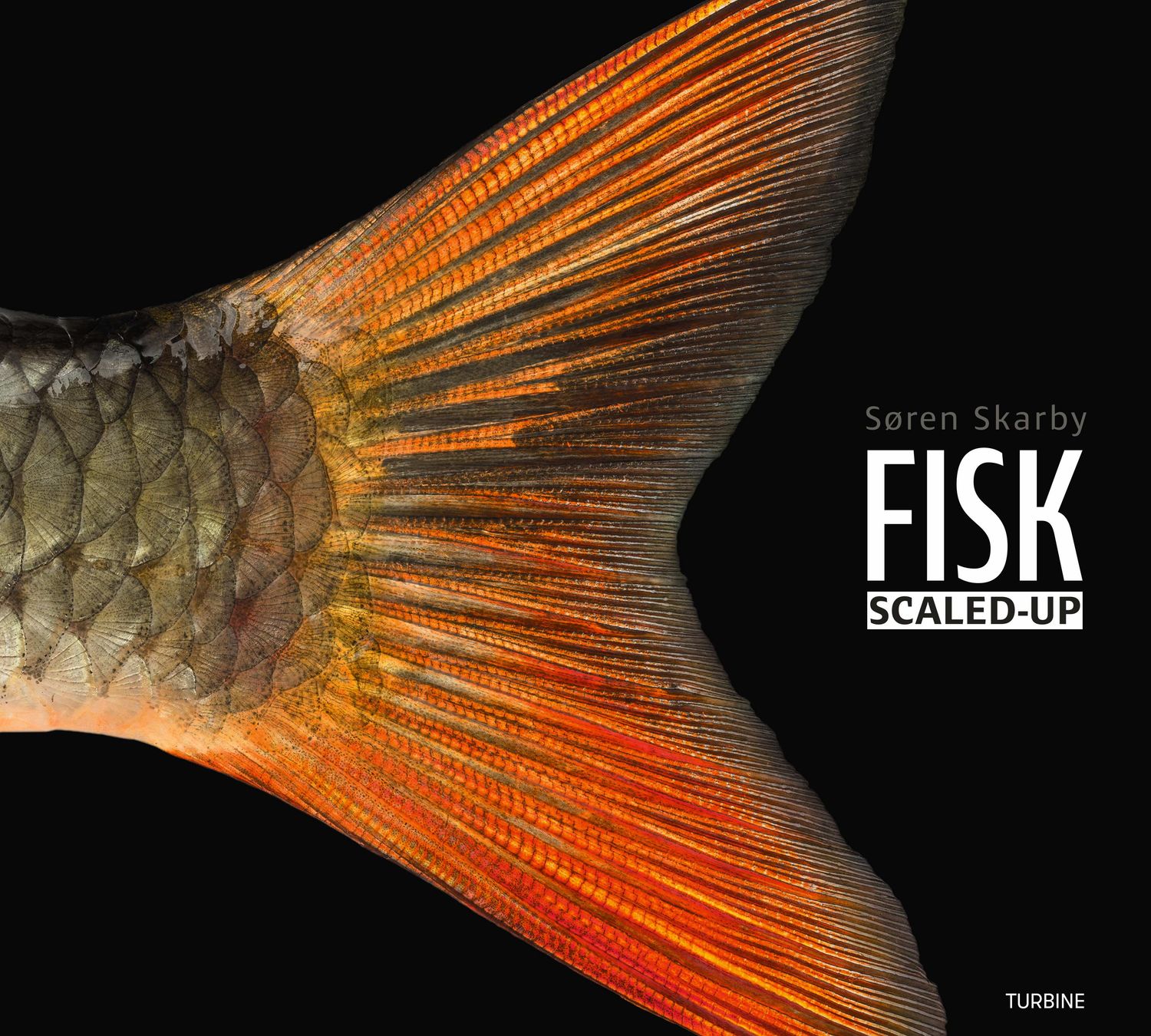FISK – scaled-up