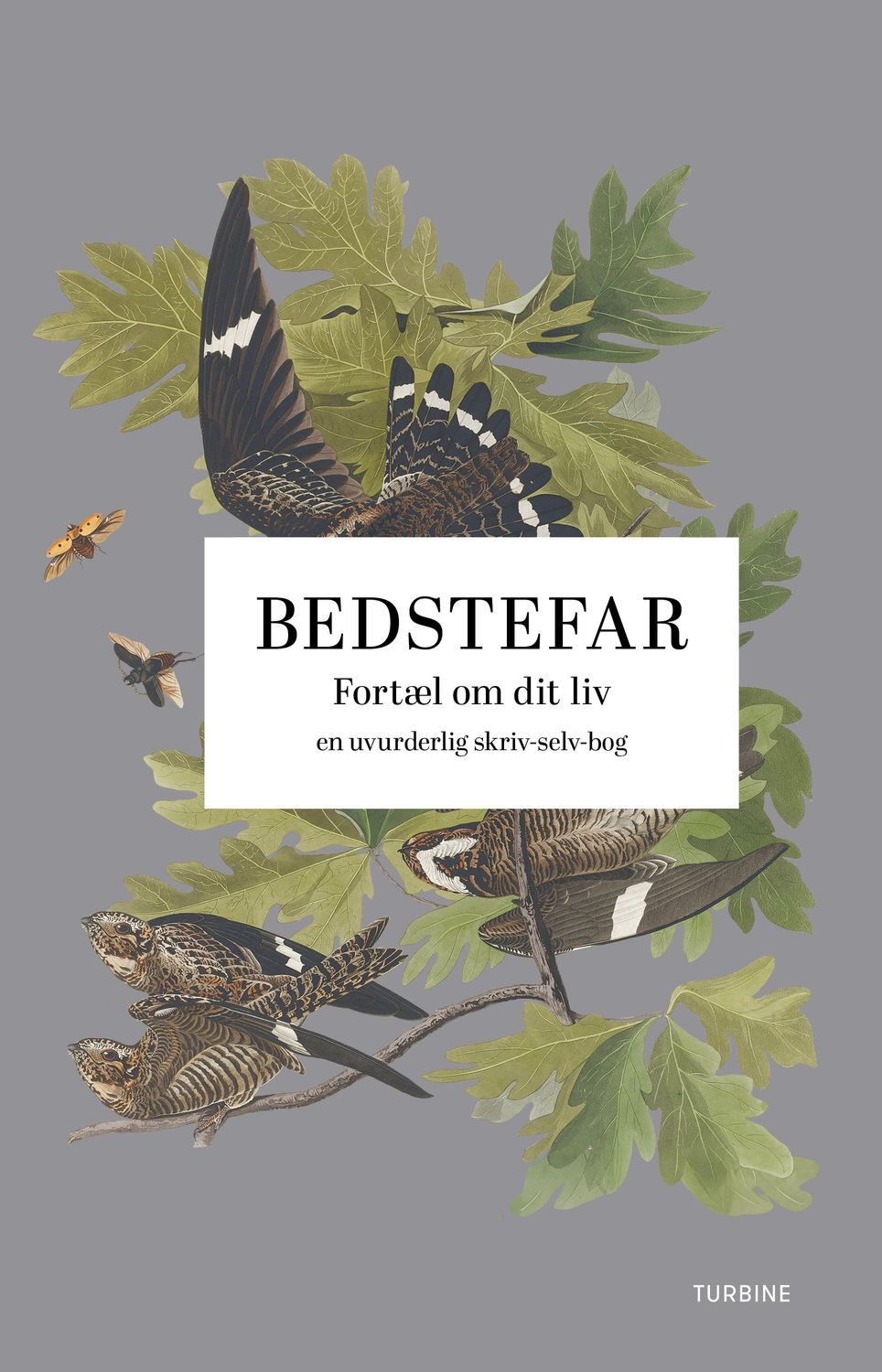 Bedstefar: Fortæl om dit liv